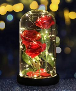 Dream of Flowers Beauty and The Beast Red Rose in Glass Dome with Fairy Light String, Valentine Rose Gift for Her, Birthday, Mother's Day Gifts